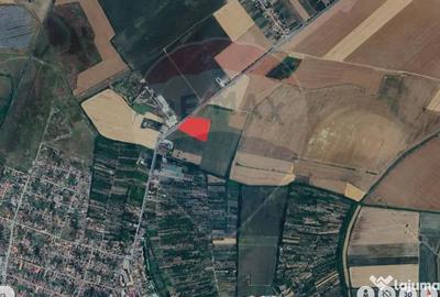 Teren de 20561 mp, în Salonta - 12