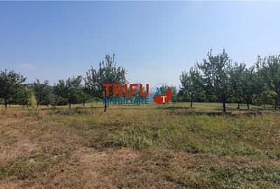 Teren de vanzare 32 ha in Vintu de Jos - 2