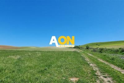 Teren Construcții intravilan de 1500 mp, în Oarda - 2