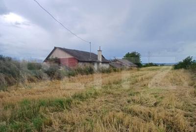 Teren intravilan 6000 mp cu 2 fronturi, parcelabil - 2