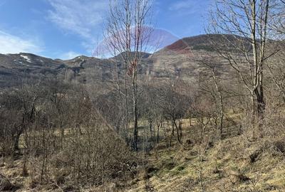 Casă cu 2 camere cu Teren 1884 Mp în Izvoarele (Livezile) - 16