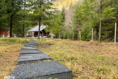Casă cu 3 camere în Ciucea - 10