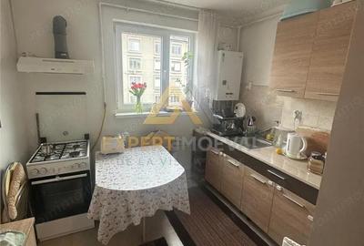 Apartament cu 2 camere în Săsar