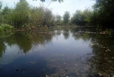 Teren de 50000 mp, în Făgețelu - 6