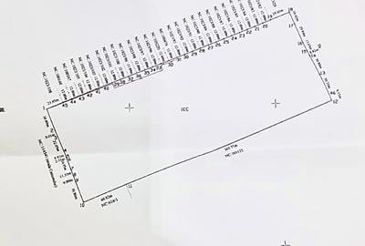 Corbeanca Vanzare teren intravilan stradal Corbeanca Vanzare teren intravilan stradal - 9
