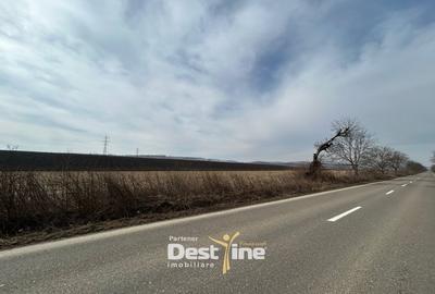 Teren Construcții intravilan de 1300 mp, în Căciulești - 1