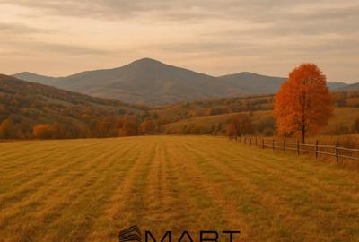 Teren de 1400 mp, în Central