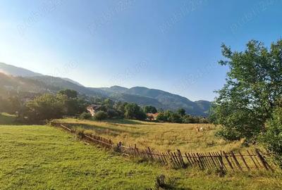Vanzare casa de vacanta + teren in Moieciu de Jos(jud.Brasov) - 8