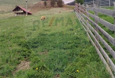 Teren Construcții intravilan de 500 mp, în Cârlibaba - 4