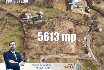 Teren de 5613 mp, în Șișești - 7