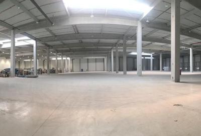 Spațiu industrial, 10000 mp în Cristian
