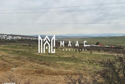 Teren de 6300 mp, în Roșia - 5