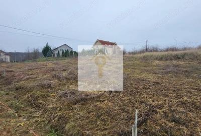 Teren de 647 mp, în Paleu - 4