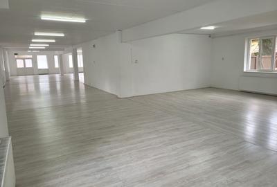 Spatiu Comercial 265 mp, intrare din strada, gradina, parcari, Pod Ira - 2