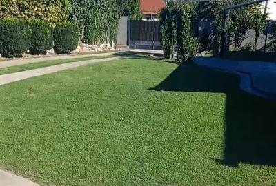 Casă cu 2 camere cu Teren 1192 Mp în Sântămăria-Orlea - 5