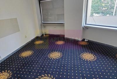 Spațiu comercial, de 225 mp, în Decebal - 8