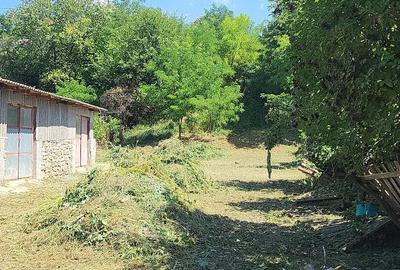 Casă cu Teren 1330 Mp în Rapolțel