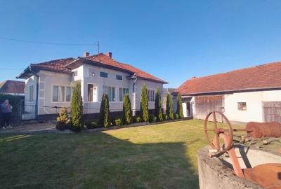Casă individuală cu 2 camere cu Teren 2980 Mp în Panticeu - 2