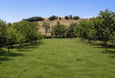 Teren de 1259 mp, în Buzad - 1