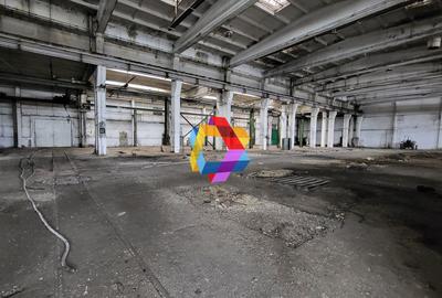 Spațiu industrial, de 1,137 mp, în Nord - 4