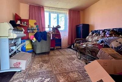 Casă cu 2 camere în Iratoșu - 7
