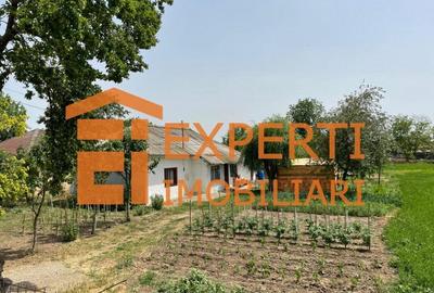 Teren Construcții intravilan de 2581 mp, în Mihail Kogălniceanu - 5