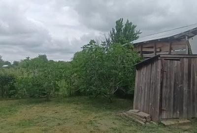 Casă cu Teren 2366 Mp în Căiata - 2