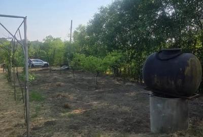 Teren de 2300 mp, în Podgoria - 2
