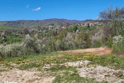 Teren de 1600 mp, în Pucheni - 3