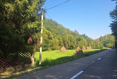 Teren de 5542 mp, în Central