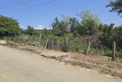 Teren de 6785 mp, în Mușetești - 1
