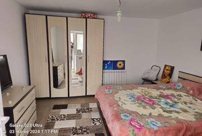 Casă cu 3 camere cu Teren 3300 Mp în Gogoșari - 5