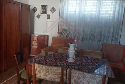 Casă individuală cu 4 camere cu Canalizare în Păltiniș - 22