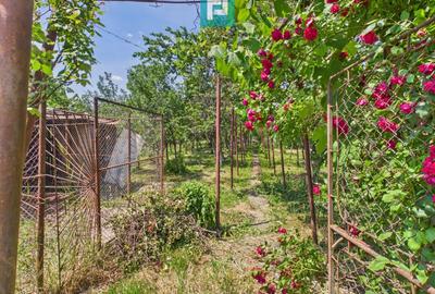Casă individuală cu 3 camere cu Teren 846 Mp în Pârneava - 6