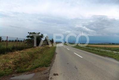 Teren Construcții extravilan de 10000 mp, în Șura Mică - 7