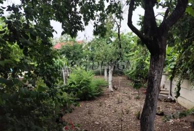 Casă cu Teren 1033 Mp în Bogdăneștilor - 3