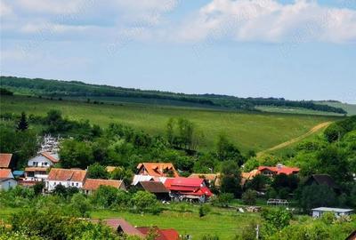 Teren de 2800 mp, în Nord