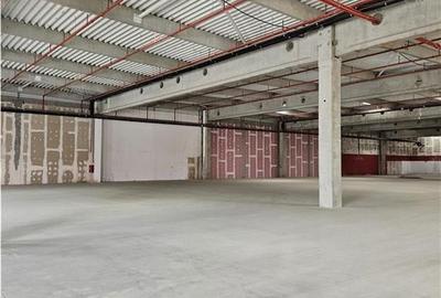 Spațiu industrial, de 7,000 mp, în Periferie - 10