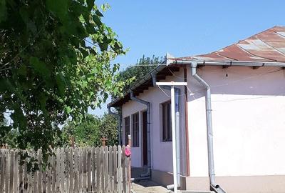Casă cu 4 camere cu Teren 2350 Mp în Miroși
