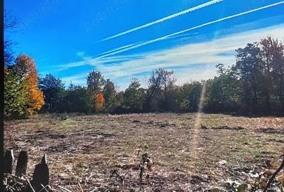 Teren de 4200 mp, în Central