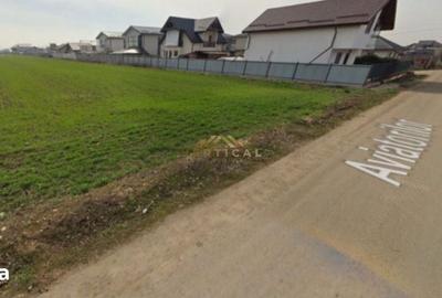 Teren de 1712 mp, în Berceni