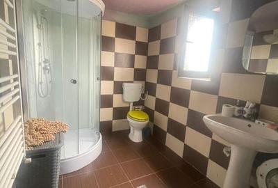 Casă cu 4 camere cu Teren 380 Mp în Romanești - 15
