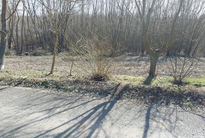 Spațiu comercial, în Făurei - 6