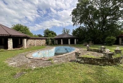 Casă individuală cu 7 camere cu Piscina în Izvorani - 7