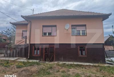 Casă cu 4 camere cu Teren 5300 Mp în Sava