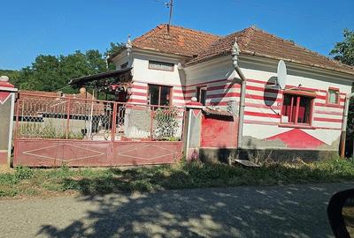 Casă cu Teren 8338 Mp în Făgețel