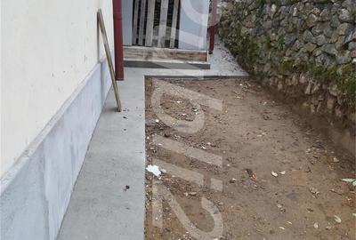 Casă cu 6 camere cu Teren 6000 Mp în Pietreni - 1