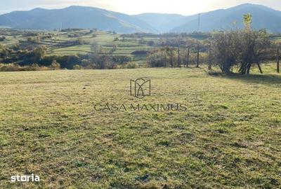 Teren de 972 mp, în Gura Râului - 1