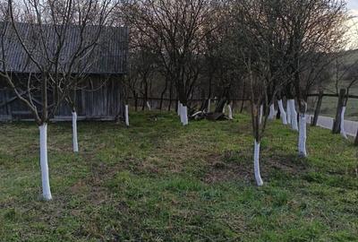 Casă cu 2 camere în Cehal