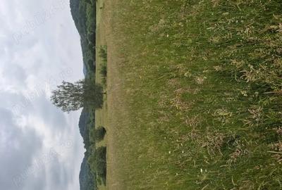 Teren de 1300 mp, în Central - 7